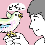 コザクラインコ