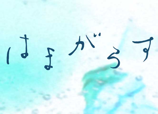 はまがらす